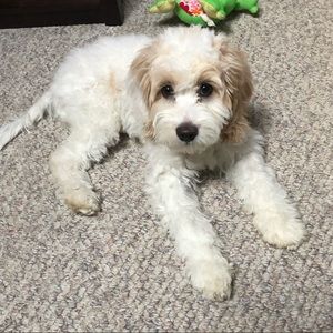 Meet your Posher, Marilee